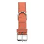 Collier pour Chien Gloria Oasis Rouge (55 x 2,5 cm) de Gloria, Colliers - Réf : S6100708, Prix : 7,54 €, Remise : %