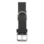 Dog collar Gloria Oasis Black 60 cm (60 x 3 cm) by Gloria, Collars - Ref: S6100714, Price: 9,92 €, Discount: %