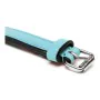 Collier pour Chien Gloria Rembourré Bleu (35 x 1,5 cm) de Gloria, Colliers - Réf : S6100741, Prix : 6,52 €, Remise : %