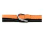 Dog collar Gloria Padded Orange (45 x 2 cm) by Gloria, Collars - Ref: S6100751, Price: 7,68 €, Discount: %