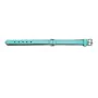 Coleira para Cães Gloria Acolchoado Turquoise 45 cm (45 x 2 cm) de Gloria, Coleiras - Ref: S6100753, Preço: 7,68 €, Desconto: %