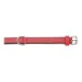 Dog collar Gloria Padded Red 50 cm (50 x 2,5 cm) by Gloria, Collars - Ref: S6100759, Price: 7,27 €, Discount: %