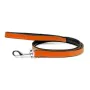 Dog Lead Gloria 1.8 x 100 cm Orange by Gloria, Leads - Ref: S6100894, Price: 11,76 €, Discount: %