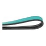 Dog Lead Gloria Turquoise 1.8 x 100 cm by Gloria, Leads - Ref: S6100896, Price: 12,26 €, Discount: %