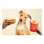 Hundespielzeug Gloria Hamburdog 14 x 6 cm Hamburger von Gloria, Plüschtiere - Ref: S6101020, Preis: 5,30 €, Rabatt: %