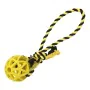 Dog chewing toy Gloria Grille Assorted colours (9 cm) (9 x 30 cm) by Gloria, Biting toys - Ref: S6101023, Price: 7,48 €, Disc...