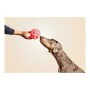 Juguete para perros Gloria Dispensador Golosinas Goma (12 cm) de Gloria, Pelotas - Ref: S6101024, Precio: 5,94 €, Descuento: %