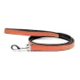 Laisse pour Chien Gloria 1.8 x 100 cm Corail de Gloria, Sangles - Réf : S6101051, Prix : 12,26 €, Remise : %