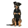 Collier pour Chien Hunter Swiss 35-39.5 cm de Hunter, Colliers - Réf : S6101060, Prix : 38,50 €, Remise : %