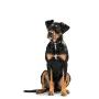 Collar para Perro Hunter Swiss Marrón Negro M 55 cm de Hunter, Collares - Ref: S6101061, Precio: 47,40 €, Descuento: %