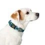 Collier pour Chien Hunter Vario Basic Fils Turquoise 20 de Hunter, Colliers - Réf : S6101294, Prix : 13,13 €, Remise : %