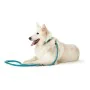 Laisse pour Chien Hunter HILO Turquoise 200 cm de Hunter, Sangles - Réf : S6101297, Prix : 22,58 €, Remise : %