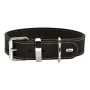 Dog collar Hunter Aalborg Black (36-44 cm) by Hunter, Collars - Ref: S6101314, Price: 30,13 €, Discount: %