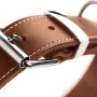 Dog collar Hunter Aalborg Cognac (20-24 cm) by Hunter, Collars - Ref: S6101317, Price: 20,34 €, Discount: %