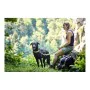 Trela para Cães Hunter HILO Azul (200 cm) de Hunter, Trelas - Ref: S6101346, Preço: 22,58 €, Desconto: %