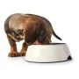 Dog Feeder Hunter Melamin Stainless steel White 350 ml (18,5 x 18,5 x 9,5 cm) by Hunter, Bowls - Ref: S6101362, Price: 12,90 ...