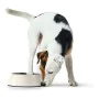 Dog Feeder Hunter Melamin Stainless steel White 350 ml (18,5 x 18,5 x 9,5 cm) by Hunter, Bowls - Ref: S6101362, Price: 12,90 ...