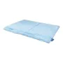 Manta para Mascotas Gloria BABY Blue 100x70 cm de Gloria, Mantas para cama - Ref: S6101375, Precio: 18,88 €, Descuento: %