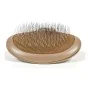 Backcombing brush Gloria Oval by Gloria, Groomers - Ref: S6101390, Price: 6,16 €, Discount: %