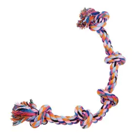 Dog chewing toy Gloria Multicolour Knot Cotton (2.5 x 60 cm) by Gloria, Biting toys - Ref: S6101394, Price: 7,47 €, Discount: %