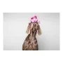 Giocattoli per cani Gloria Dogmonsters Rosa Maiale 34 x 9 cm di Gloria, Giocattoli di peluche - Rif: S6101399, Prezzo: 8,23 €...