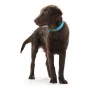 Collar para Perro Hunter Convenience Turquesa de Hunter, Collares - Ref: S6101505, Precio: 9,98 €, Descuento: %