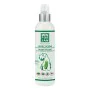 Inseticidas Menforsan Cão Antiparasitário 250 ml de Menforsan, Inseticidas - Ref: S6101605, Preço: 5,97 €, Desconto: %