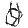 Arnés para Perro Gloria Liso Ajustable 35-51 cm Negro Talla S de Gloria, Arneses - Ref: S6101652, Precio: 10,03 €, Descuento: %