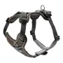 Dog Harness Hunter Divo 34-47 cm Brown XS size by Hunter, Harnesses - Ref: S6101758, Price: 34,86 €, Discount: %