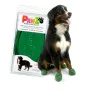 Botas Pawz Perro 12 Unidades Talla XL Verde de Pawz, Botas y protectores de patas - Ref: S6101866, Precio: 13,96 €, Descuento: %