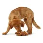 Jouet pour chien Hunter Togh Toys Marron 25 cm Singe de Hunter, Jouets en peluche - Réf : S6102027, Prix : 14,46 €, Remise : %