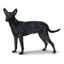 Jersey para Perro Hunter Finja de Hunter, Jerséis - Ref: S6102044, Precio: 19,98 €, Descuento: %