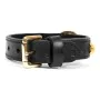 Dog collar Gloria Duna Black Golden (35 x 2 cm) by Gloria, Collars - Ref: S6102059, Price: 8,99 €, Discount: %