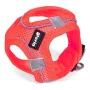 Arnês para Cães Gloria Air Mesh Trek Star Ajustável Cor de Rosa Tamanho XXXS (18-20 cm) de Gloria, Arneses - Ref: S6102107, P...