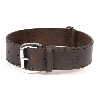 Dog collar Gloria Brown 70 cm (70 x 4 cm) by Gloria, Collars - Ref: S6102194, Price: 12,51 €, Discount: %