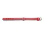 Hundehalsband Gloria Polsterung Rot 35 cm (35 x 1,5 cm) von Gloria, Halsbänder - Ref: S6102204, Preis: 6,52 €, Rabatt: %