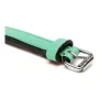 Collier pour Chien Gloria Rembourré Vert (35 x 1,5 cm) de Gloria, Colliers - Réf : S6102205, Prix : 7,25 €, Remise : %