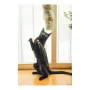 Cat toy Gloria Gehry Cushion (40 x 11 cm) by Gloria, Interactive toys - Ref: S6102230, Price: 8,52 €, Discount: %