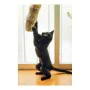 Cat toy Gloria Gehry Cushion (40 x 11 cm) by Gloria, Interactive toys - Ref: S6102230, Price: 8,52 €, Discount: %