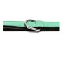 Dog collar Gloria Padded Green (30 x 1,5 cm) by Gloria, Collars - Ref: S6102418, Price: 7,25 €, Discount: %