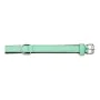 Dog collar Gloria Padded Green (30 x 1,5 cm) by Gloria, Collars - Ref: S6102418, Price: 7,25 €, Discount: %