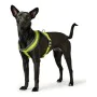 Harnais pour Chien Hunter London Comfort XS-S 39-47 cm Citron de Hunter, Harnais - Réf : S6102560, Prix : 6,80 €, Remise : %