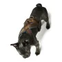 Imbracatura per Cani Hunter London Comfort XS-S 39-47 cm Marrone di Hunter, Imbracature - Rif: S6102561, Prezzo: 7,55 €, Scon...