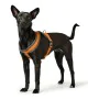 Dog Harness Hunter London Comfort 39-47 cm Orange XS/S by Hunter, Harnesses - Ref: S6102562, Price: 6,80 €, Discount: %