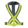 Dog Harness Hunter London Comfort 57-70 cm Size M Lime by Hunter, Harnesses - Ref: S6102587, Price: 9,74 €, Discount: %