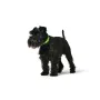 Coleira para Cães Hunter Convenience 23-31 cm Verde XS/S de Hunter, Coleiras - Ref: S6102640, Preço: 7,48 €, Desconto: %