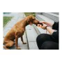 Contenitore Hunter Dummy Snacks Nero Arancio di Hunter, Sacchetti di dolcetti per cani - Rif: S6102709, Prezzo: 14,51 €, Scon...