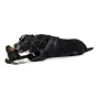 Soft toy for dogs Hunter Tough Kamerun Gorilla (29 cm) by Hunter, Furry toys - Ref: S6102726, Price: 14,83 €, Discount: %