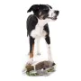 Soft toy for dogs Hunter Wildlife Train With string Duck (26 cm) by Hunter, Furry toys - Ref: S6102737, Price: 16,38 €, Disco...