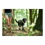 Correa para Perro Hunter HILO Lima (200 cm) de Hunter, Correas - Ref: S6102752, Precio: 22,58 €, Descuento: %